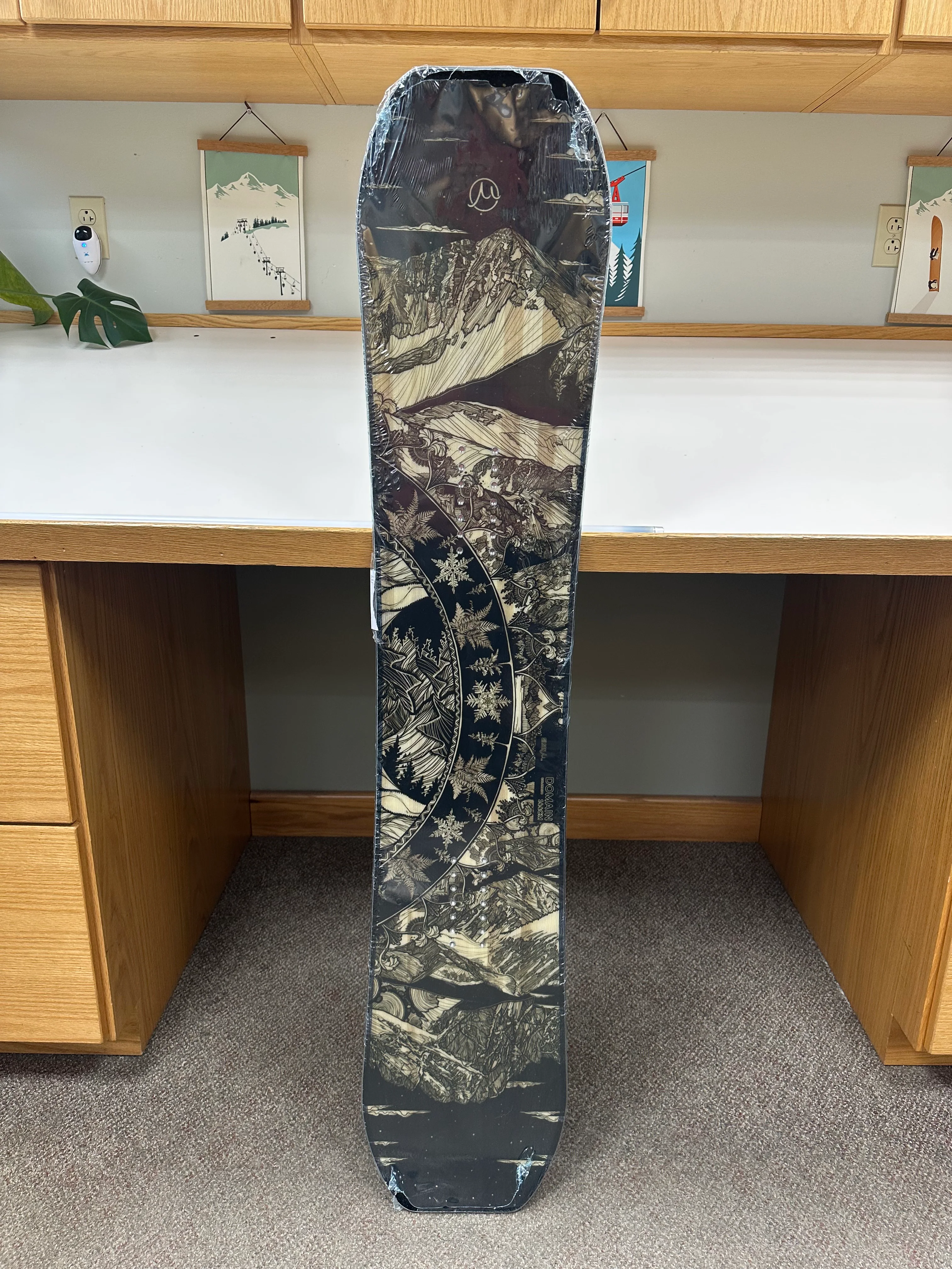 GILSON Closeout - Domain Colorado 144cm (NEW)