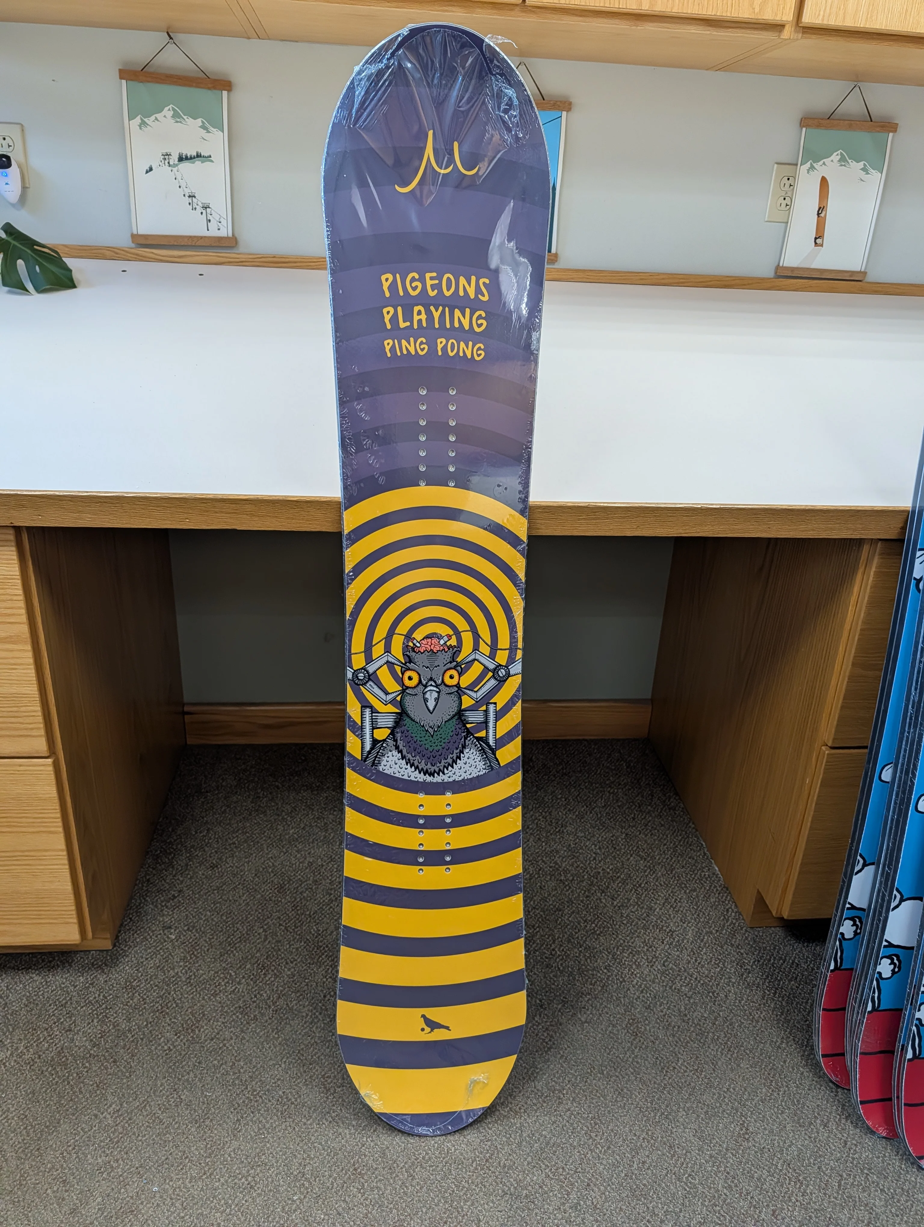 GILSON Closeout – Pigeons Playing Ping Pong 155cm (NEW)
